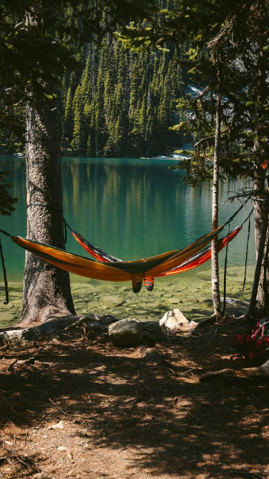 A hammock from a tree over a body of water
