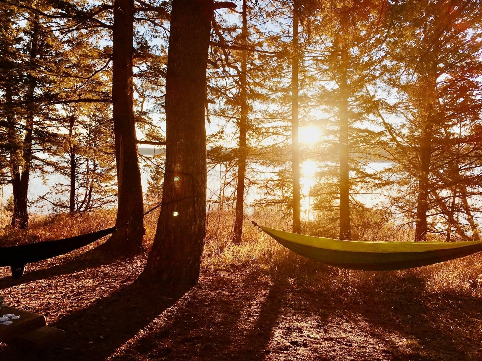 Hammock hanged on tree
