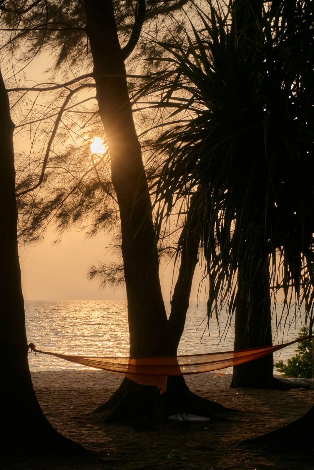 Hammock strung between trees on a beach at sunset