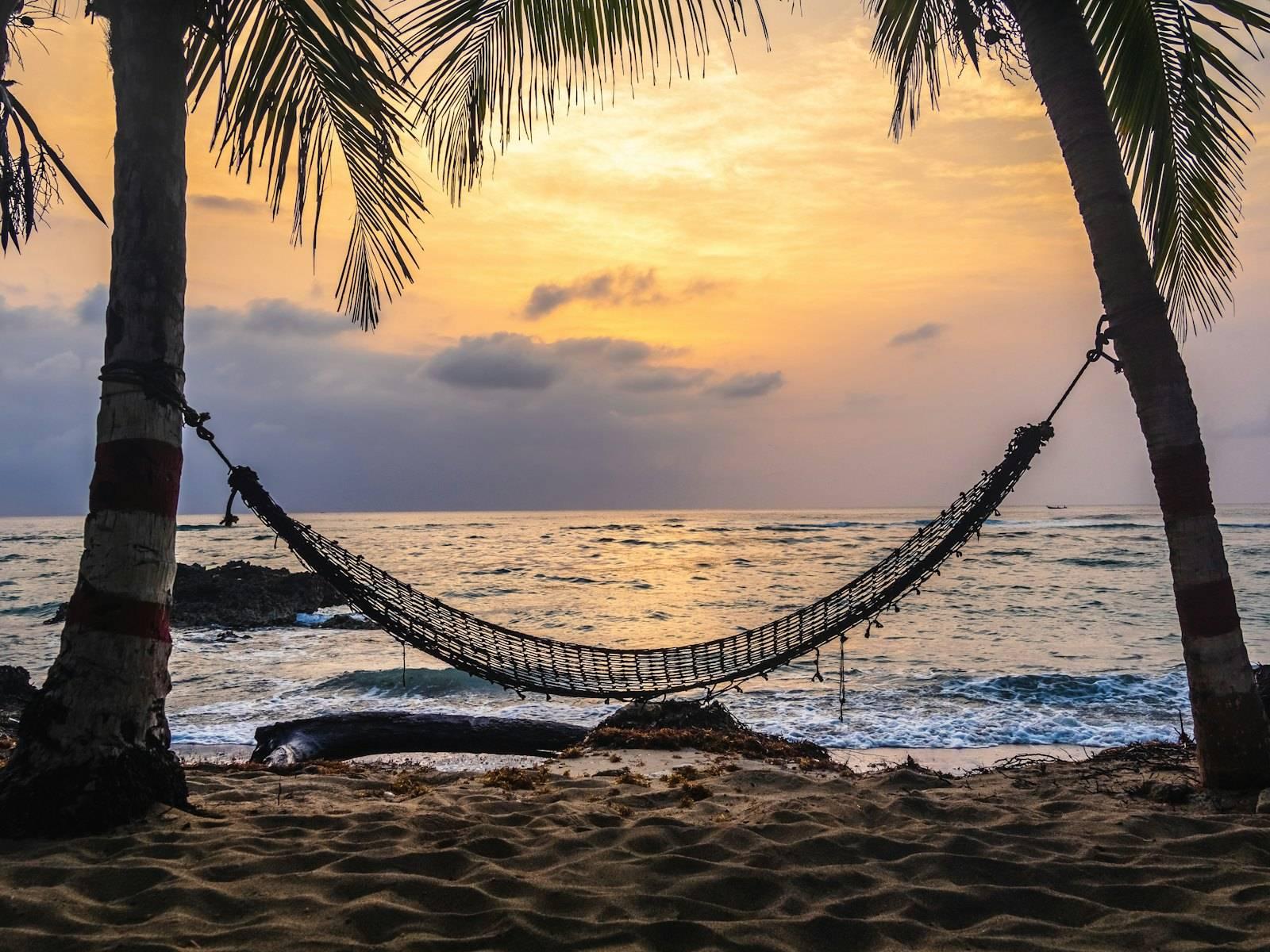 Black hammock hanging between coconut tree on beach during golden hour